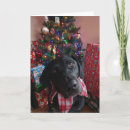 Search for lab christmas cards Black