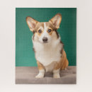 Search for corgi puzzles Canine