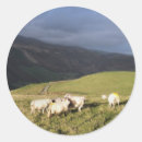 Recherche de pays galles autocollants Souillé