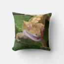 Recherche de gecko coussins Faune