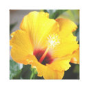 Search for hibiscus canvas prints home decor