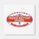 Search for brittanies magnets Canine