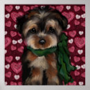 Search for yorkie lover posters Yorkies