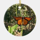 Recherche de papillon de monarque ornements Nature