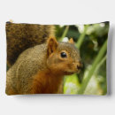 Recherche de écureuil accessoires Nature