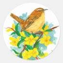 Search for wrens stickers Carolina wren