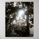 Search for back lit art Vertical