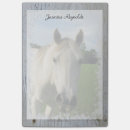 Search for quarter note Horse