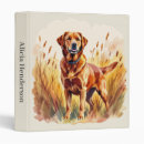 Search for dog binders Illustration