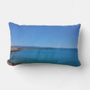 Search for sky blue pillows Landscape