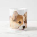 Search for corgi puppy mugs Canine