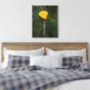Search for aspen canvas prints Leaf