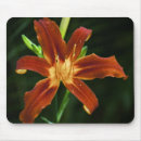 Search for green flame electronics Orange