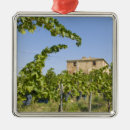 Search for tuscany ornaments Nature