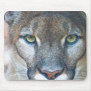 Recherche de cougar tapis souris Faune