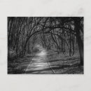 Search for texas photography Trees