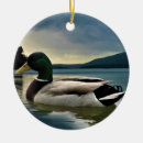 Search for mallard duck ornaments Lake