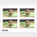 Search for dachshund stickers Wiener dog