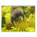 Search for insect calendars Photography