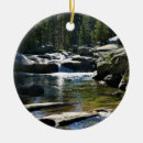 Search for meadow ornaments Waterfall