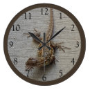 Recherche de lézards horloges Pour tous