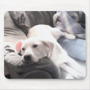 Search for hang mousepads Puppy