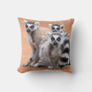 Search for lemur pillows Wildlife
