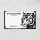 Search for tigers business cards Illustration