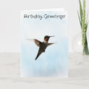 Search for bird lover birthday cards Hummingbird