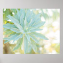 Recherche de état de nature Photographie