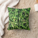 Search for green moss photography Forest