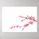 Recherche de cherry blossom posters Blossoms