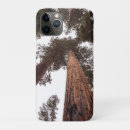 Search for forest tree iphone cases Nature