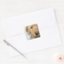 Search for mixed breed dog stickers Cute