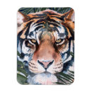 Recherche de chat sauvage magnets Tropical