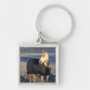 Recherche de cheval gris porteclés Brun