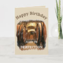 Search for aged to perfection cards Wine