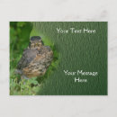 Search for fledgling postcards Animal