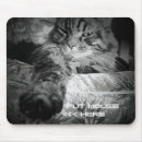 Recherche de animal lover électronique Kitty