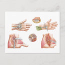 Recherche de medical cartes postales Illustration