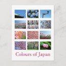 Search for pink cherry postcards Photography