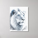 Search for lion drawing art Feline