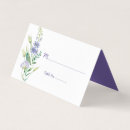 Recherche de marguerites pourpres Rustique