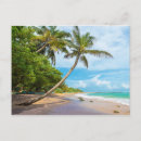 Search for coconut tree postcards Sand