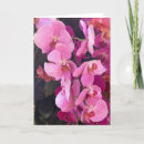Search for orchid note cards Flowers