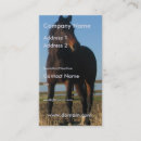 Search for bay business cards Equine
