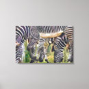 Recherche de rayures de zèbre art Zoo