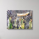 Recherche de toile de zèbre Animaux