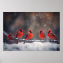 Search for christmas cardinal art Birds