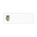Search for tabby cat return address labels Cats